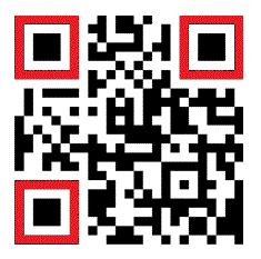 FTS QR Code